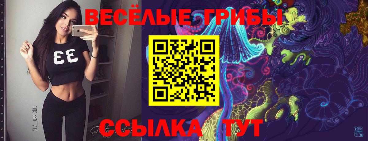 Галлюциногенные грибы прущие грибы Сафоново